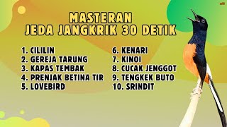 Download lagu 🔴 MASTERAN MURAI BATU MATERI TERBAIK JEDA JANGKRIK 30 DETIK || 836 mp3 Download lagu 🔴 MASTERAN MURAI BATU MATERI TERBAIK JEDA JANGKRIK 30 DETIK || 836 mp3