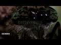 Wormy S Scary Close Up Footage