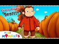 George S Haunted Pumpkin Picking Curious George A Halloween Boo Fest Mini Moments