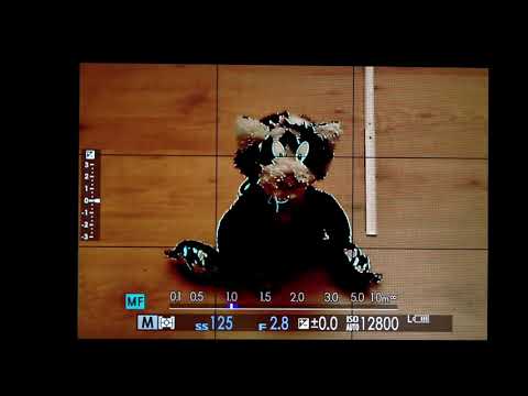 * Fujifilm Manuelles Scharfstellen, Schärfentiefe, Hyperfokale und vieles mehr erklärt. *