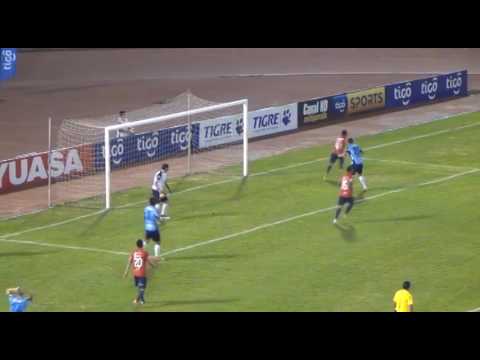 WILSTERMANN 1   -   BLOOMING 2