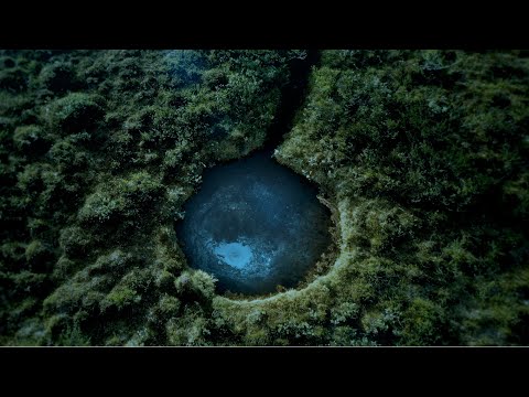 Ólafur Arnalds & Alice Sara Ott // VERSES