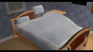 Les Sims et les choses de la vie Les Sims et les choses de la vie