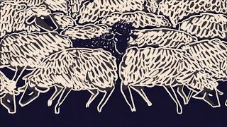 Black Sheep Music Video