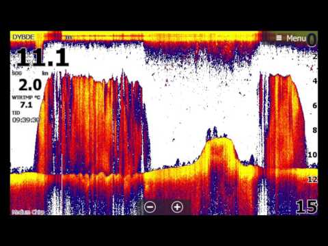 Småbådsgruppens Nytårstræf, 2015