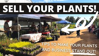 How To Promote Your Plant Nursery and make money