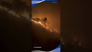 Los Angeles Dilanda Bahaya Baru! Abu Beracun Menyebar akibat Kebakaran