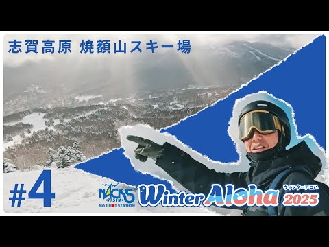 Video: パウダースノーの聖地！志賀高原焼額山スキー場をご紹介