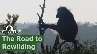 The Road To Rewilding - Why C.A.R.E. Needs Your Help
