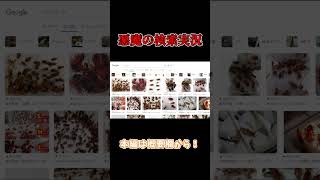 【検索してはいけない言葉】レッドローチ【悪魔の実況】