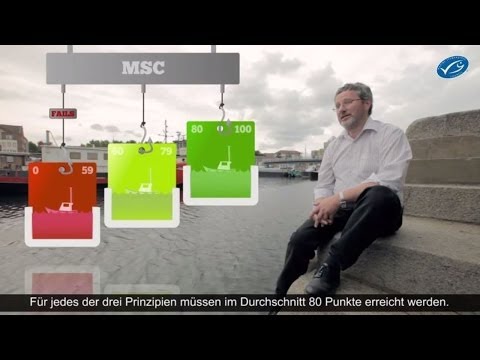 Nachhaltige Meere - Der MSC-Umweltstandard in 10 Minuten