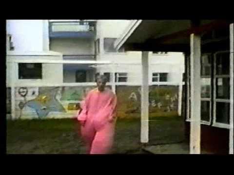 bumbubaninn og feiti pardusinn