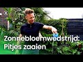 Zonnebloemwedstrijd: pitjes zaaien | Doe Het Zelf
