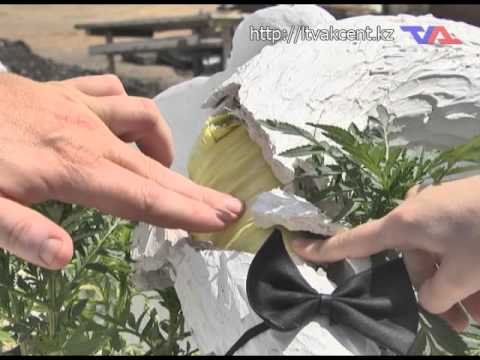 Лисаковск, выпуск программы «День» от 18 июня 2015г.