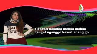 Via Vallen - Bidadari Kesleo [OFFICIAL LYRIC]