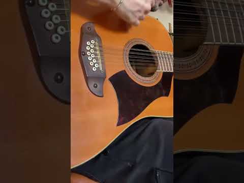 Vintage Eko Rio Bravo 12-String Acoustic Guitar - Made in Italy - Set-in Neck image 17