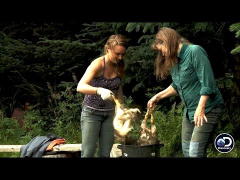 Women on the Frontier Butcher Their Own Chickens