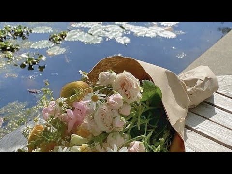 absent teachers + canceled classes