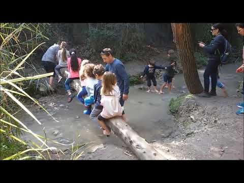 Израиль. Парк Рамот Менаше / Israel. Ramot Menashe Park