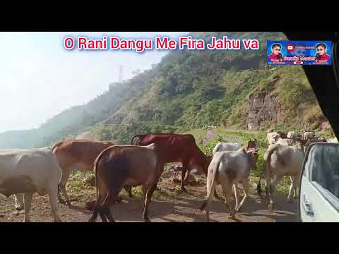 O Rani Dangu Me Fira Jahu Va, RoJ Roj Stetas Thovu Va. @SandipMaster 