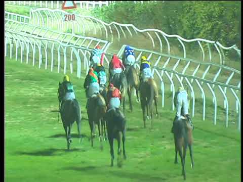 Galoppo 27/12/2017 - 6ª corsa