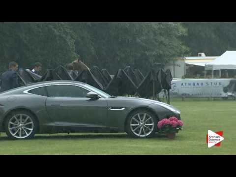 N.112 AJA ATHENA - Bruges 2016 - Yearling Fillies (Class 101B)