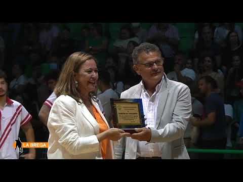 La política "tumba" la Lucha Canaria