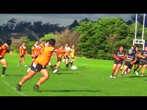 2017 NRL Victoria First Grade - Round 3 Highlights