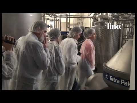 Egy nap a munkahelyemen - Fino látogatás