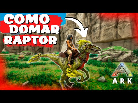 Como DOMAR RAPTOR no ARK SURVIVAL EVOLVED