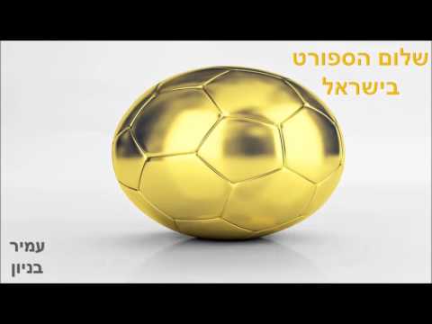 עמיר בניון