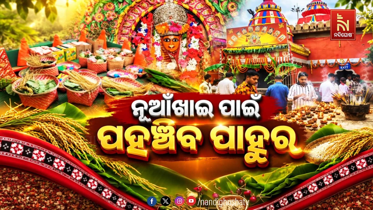ନୂଆଁଖାଇ ପାଇଁ ପହଞ୍ଚିବ ପାହୁର nandighoshatv