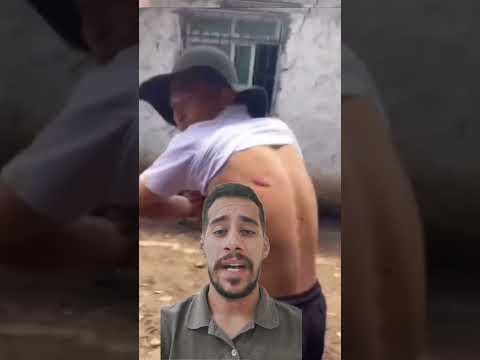 I think this horse is asking for a new owner... #horse #humor #shorts