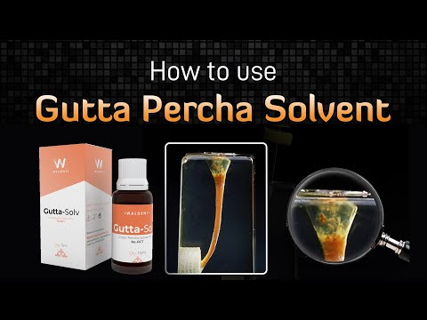 How to use Gutta Percha Solvent | Waldent Gutta - Solv