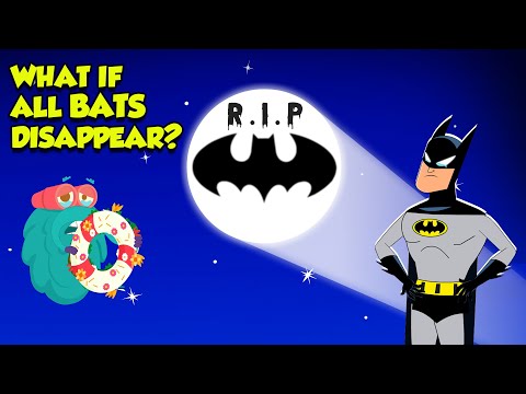 What if all Bats Disappeared?। Why Bats Are Important To The Environment । The Dr. Binocs Show