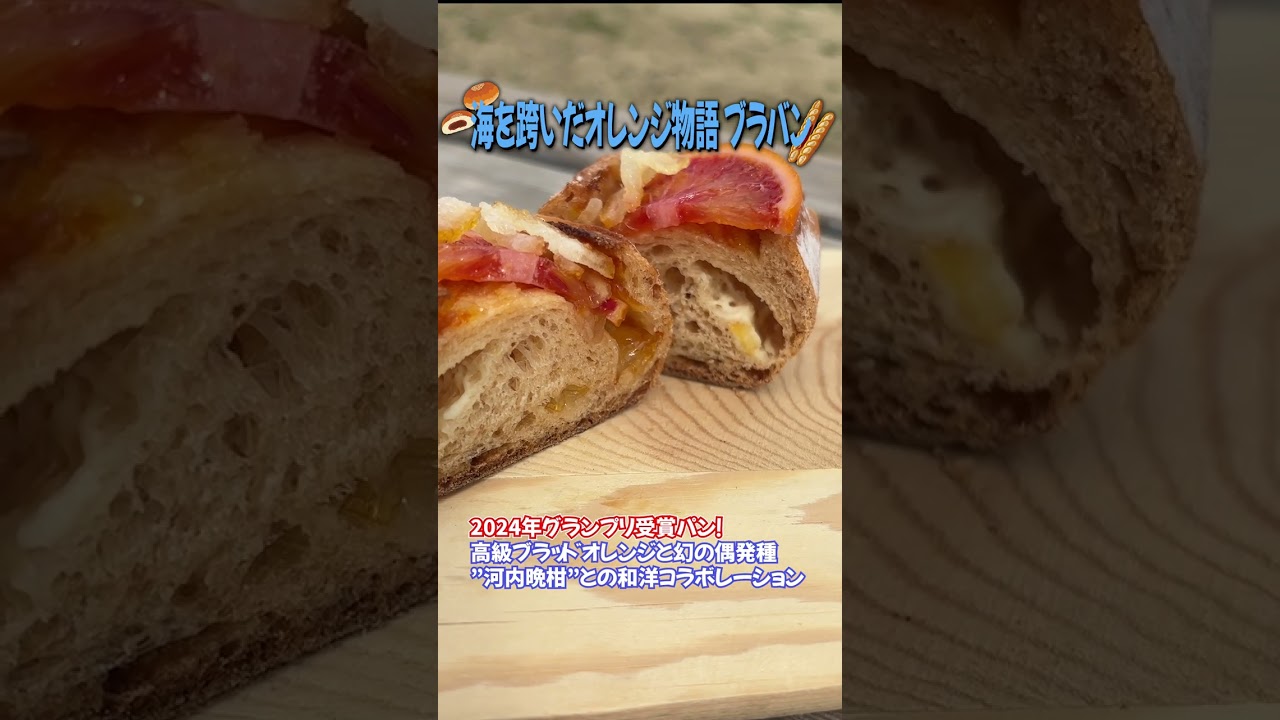 【未公開放出】豪華！パンのフェス限定パン #パン #パン活 #ベーカリー #オレンジ #ベーグル #スコーン #パンのフェス  #本編は【特集】をタップ♪