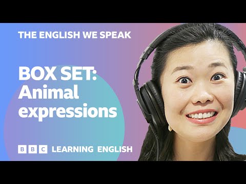 English vocabulary mega-class! Learn 10 everyday English 'animal' expressions in 23 minutes!