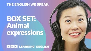 English vocabulary mega-class! Learn 10 everyday English 'animal' expressions in 23 minutes!