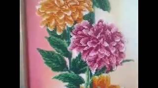 Жоржини P-111