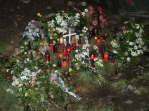 Vzpomínka na Davídka :'(