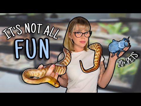 A Realistic Day in my Animal Room...