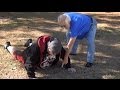 GRANDPA S WEIGHT LOSS PROGRAM