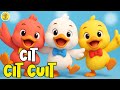 Lagu Anak Anak Cit Cit Cuit Burung Bernyanyi Lagu Anak Balita Terbaru Paling Viral Terpopuler