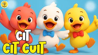 Download lagu Lagu Anak Anak - Cit Cit Cuit Burung Bernyanyi - Lagu Anak & Balita Terbaru Paling Viral Terpopuler mp3