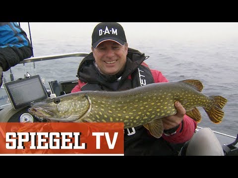 Petri Heil! - Volkssport Angeln (SPIEGEL TV Doku)