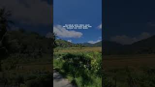 Download lagu selamat pagi guys #ahorts #storywa mp3