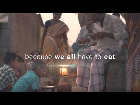 Syngenta Karate Insecticide