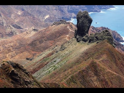 Saint Helena – wirebird conservation Video