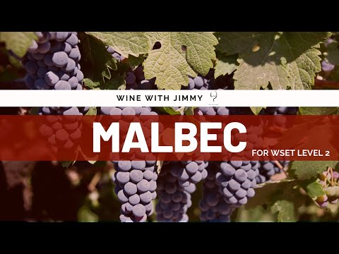 Grape Varieties - Malbec Intermediate Version for WSET Level 2 Wine