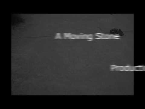 Happy Birthday Auntie - Animation